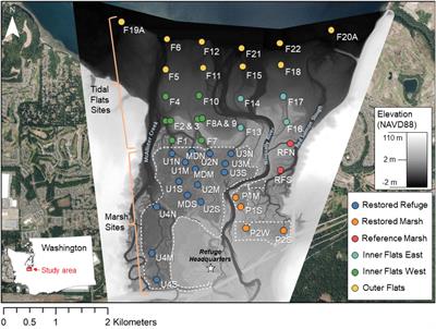 Benthic macroinvertebrate response to estuarine emergent marsh restoration across a delta-wide environmental gradient